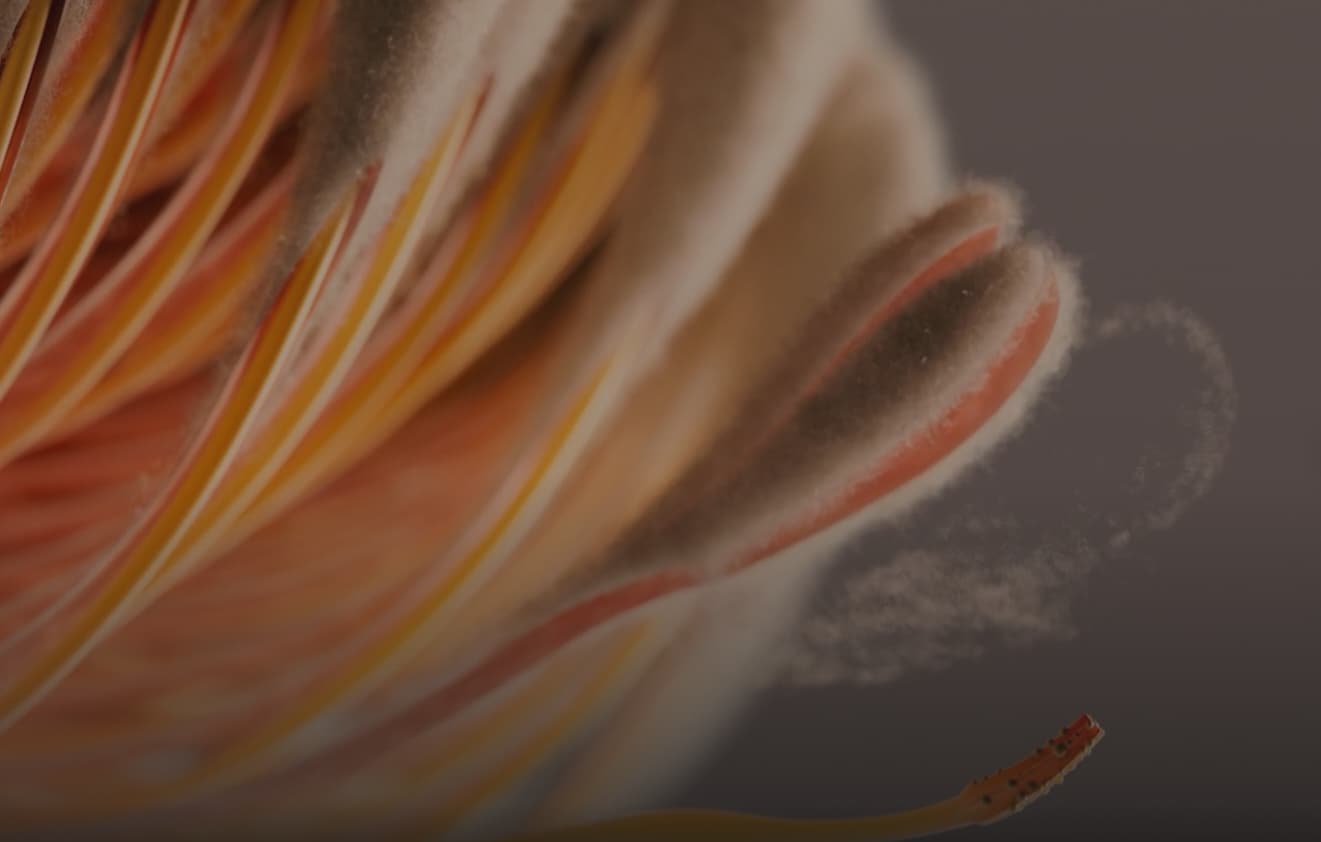 A frame from the Smoosh Workstations 2022 Creator Showreel